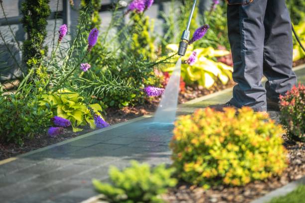 Best Dumpster Area Cleaning  in Front Royal, VA